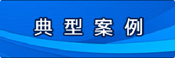 典型案例